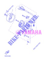 IGNIÇÃO para Yamaha CW50 2013