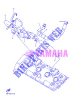 AIR INDUCTION SYSTEM AIS para Yamaha FZ8NA 2013