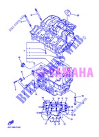 CARTERS para Yamaha FZ8S 2013