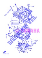 CARTERS para Yamaha FZ8SA 2013