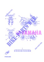 ADESIVO para Yamaha NS50 2013