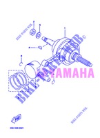 CAMBOTA / PISTÃO para Yamaha VP250 2013