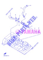 AIR INDUCTION SYSTEM AIS para Yamaha XJ6N 2013