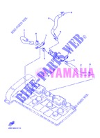 AIR INDUCTION SYSTEM AIS para Yamaha XJ6NA 2013