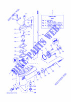 LOWER CASING & DRIVE 1 para Yamaha F2.5B Manual Starter, Tiller Handle, Manual Tilt, Shaft 20