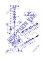 CARTER INFERIOR E TRANSMISSAO 2 para Yamaha E55C Enduro, Manual Starter, Tiller Handle, Manual Tilt, Pre-Mixing 2007