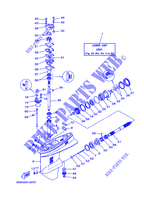 CARTER INFERIOR E TRANSMISSAO 2 para Yamaha E55C Enduro, Manual Starter, Tiller Handle, Manual Tilt, Pre-Mixing, Shaft 20