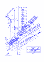 CARTER INFERIOR E TRANSMISSAO 1 para Yamaha E60H Manual Starter, Tiller Handle, Hydro Trim & Tilt, Pre-Mixing, Shaft 20