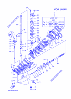 CARTER INFERIOR E TRANSMISSAO 2 para Yamaha E60H Enduro, Manual Starter, Tiller Handle, Hydro Trim & Tilt, Pre-Mixing, Shaft 20