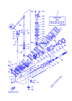 CARTER INFERIOR E TRANSMISSAO 1 para Yamaha E60H Enduro, Manual Starter, Tiller Handle, Hydro Trim & Tilt, Pre-Mixing, Shaft 20