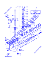 CARTER INFERIOR E TRANSMISSAO 1 para Yamaha E60H Enduro, Manual Starter, Tiller Handle, Hydro Trim & Tilt, Pre-Mixing, Shaft 15