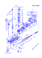 CARTER INFERIOR E TRANSMISSAO 2 para Yamaha E60H Enduro, Manual Starter, Tiller Handle, Hydro Trim & Tilt, Pre-Mixing, Shaft 20