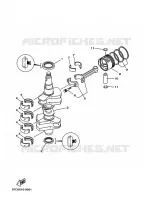 CAMBOTA / PISTÃO para Yamaha F40B Manual Starter, Tiller Handle, Hydro Trim & Tilt, Shaft 15
