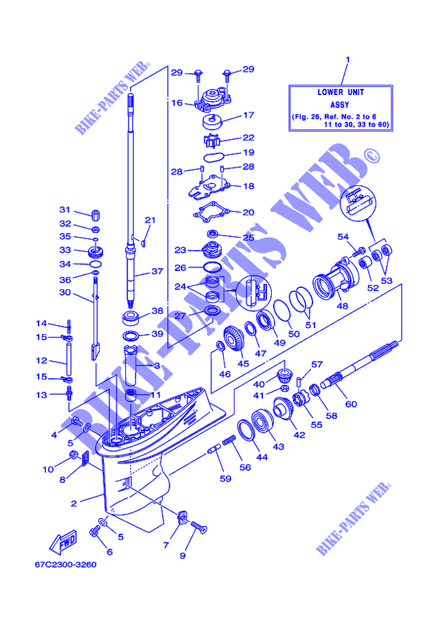 CARTER INFERIOR E TRANSMISSAO 1 para Yamaha F40B Electric Starter, Remote Control, Power Trim & Tilt, Shaft 20