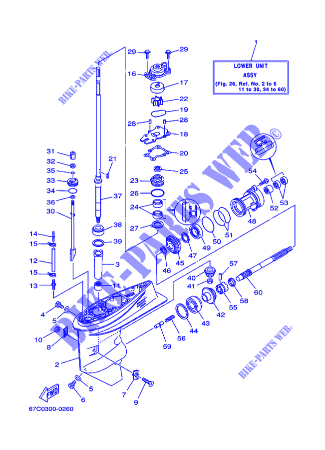 CARTER INFERIOR E TRANSMISSAO 1 para Yamaha F40T Electric Start, Power Trim & Tilt, Remote Control, Shaft 20
