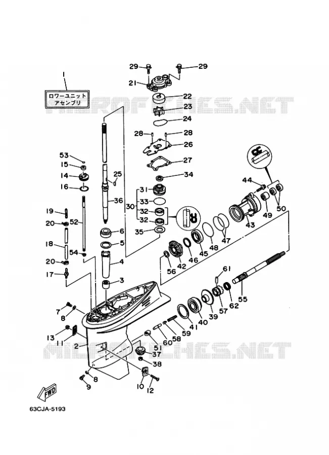 CARTER INFERIOR E TRANSMISSAO Yamaha OUTBOARD ENGINES 50hp (36.8kW) 1997 F50  F50A
