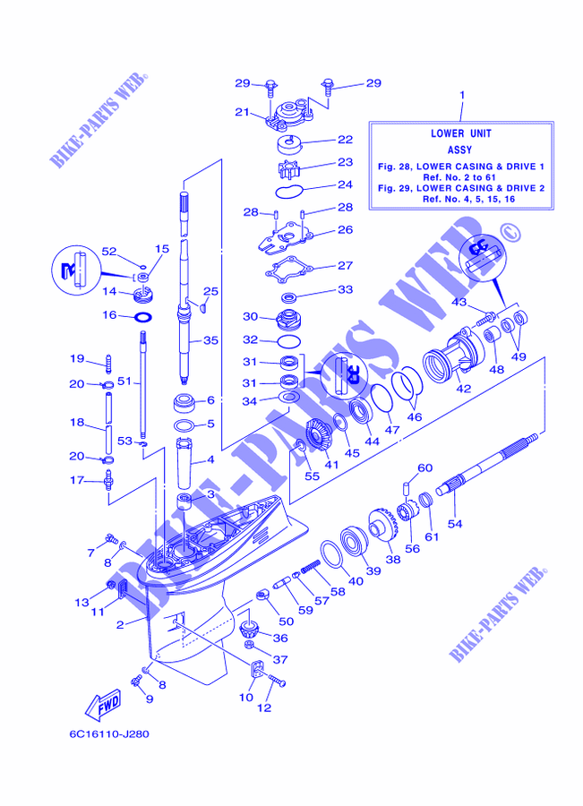 CARTER INFERIOR E TRANSMISSAO 1 para Yamaha F50L Electric Starter, Remote Control, Manual Tilt, Shaft 20