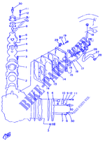 CILINDRO / CARTERS 2 para Yamaha 115B 2 Stroke, Electric Starter, Remote Control, Power Trim & Tilt 1996