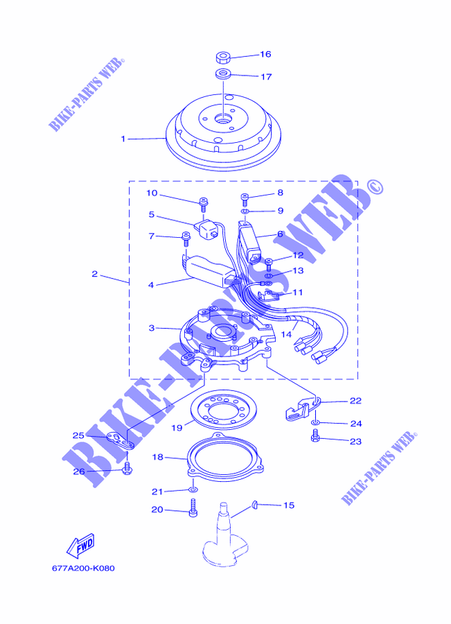 IGNIÇÃO para Yamaha E8D Enduro, Manual Starter, Tiller Handle, Manual Tilt, Pre-Mixing, Shaft 20