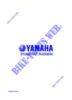 ALTERNATIVA MOTOR  para Yamaha PHAZER II 1996