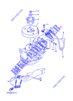 IGNIÇÃO para Yamaha F4A 4 Stroke, Manual Starter, Tiller Handle, Manual Tilt 2007