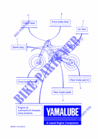 PECAS MANUTENÇÃO para Yamaha YZ 250 MONSTER ENERGY YAMAHA RACING EDITION 2022