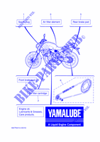 PECAS MANUTENÇÃO para Yamaha MT-07 A2 35KW 2023