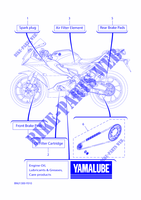 PECAS MANUTENÇÃO para Yamaha YZF-R125 2023